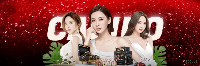 Cashback VIP 277bet - reembolso semanal